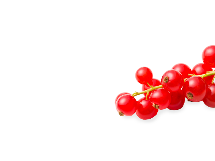 Rote Johannisbeeren rechts