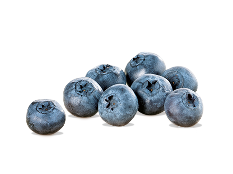 Blaubeeren