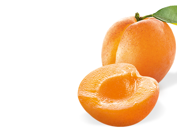 -Apricot-03_0.png