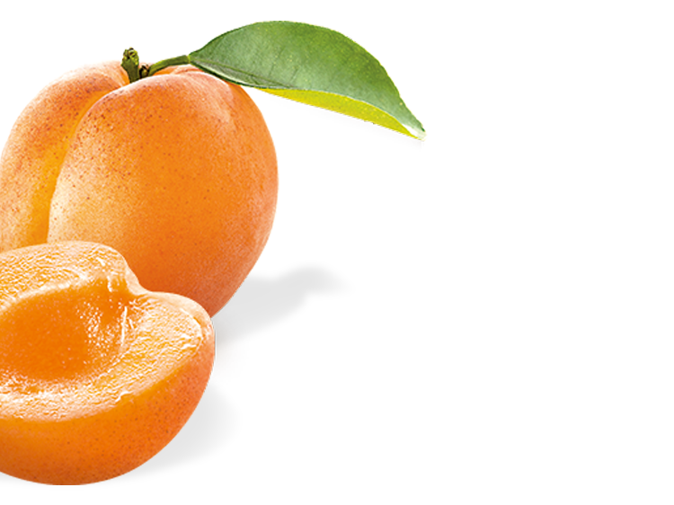 30_-Apricot-03.png