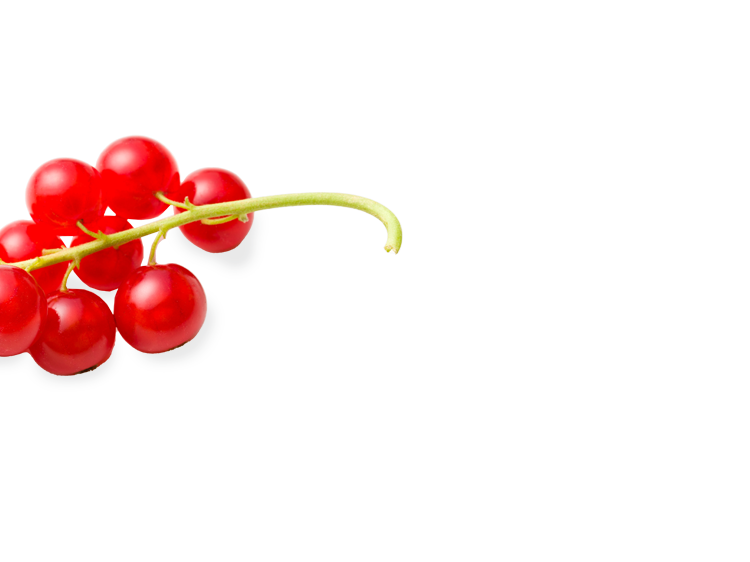 Rote Johannisbeeren links