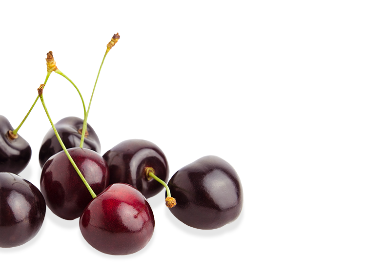 Schwarzkirsche links